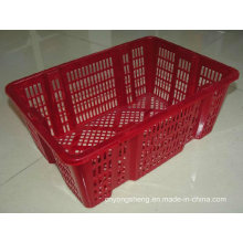 Fruit and Vegetable Plastic Box Mould